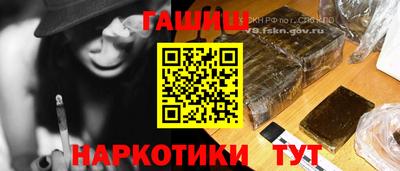 PSILOCYBIN Дубна