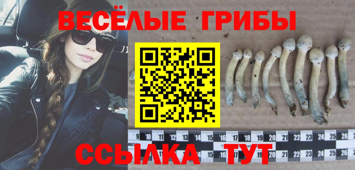 наркошоп  Галлюциногенные грибы ЛСД  Вход с VPN  Псилоцибиновые грибы MAGIC MUSHROOMS  Менделеевск 