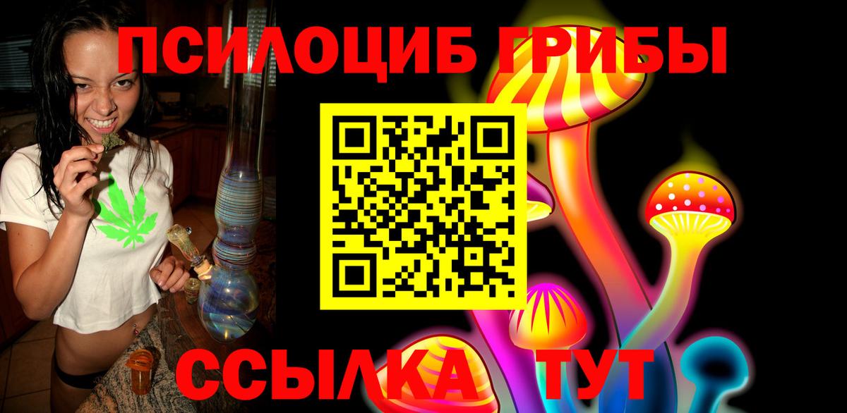 Псилоцибиновые грибы Psilocybine cubensis Менделеевск